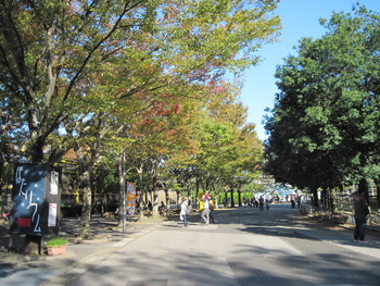 3 紅葉4(ほたリウム前)