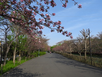 DSCN7860