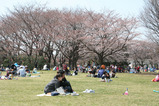 3・29トッピー広場1