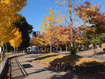 DSCF0272