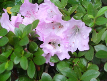 6月6日 637
