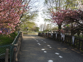 DSCN7942
