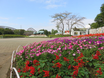 6東ゲート花壇