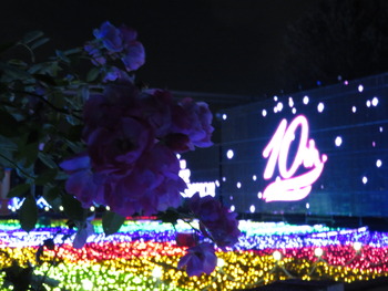 2018.10.26夜