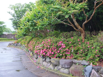 6月6日 670
