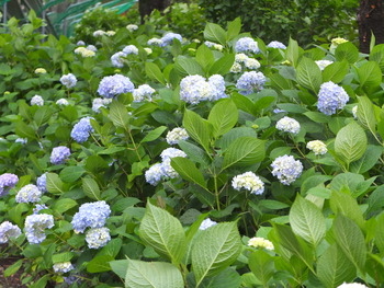 6月6日 685