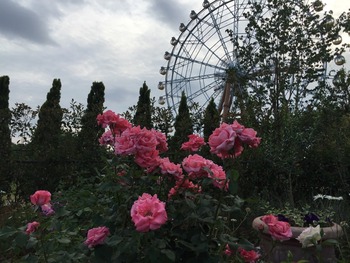 パリ・ドゥ・イヴ・サンローラン