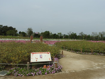 DSCN0768