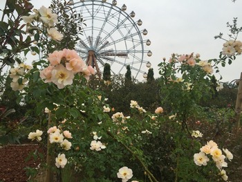 ポール・アルフ