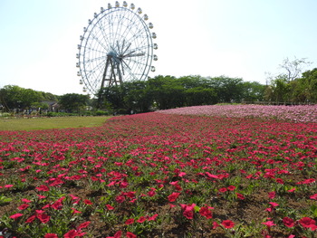 DSCN2066