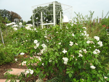 DSCN0751
