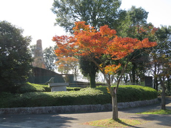 2018.11.7紅葉(サル山横)