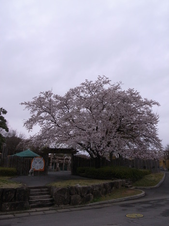 R0013342