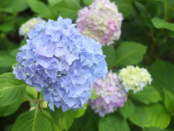 6月6日 687