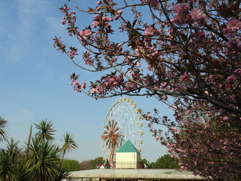 DSCN7940