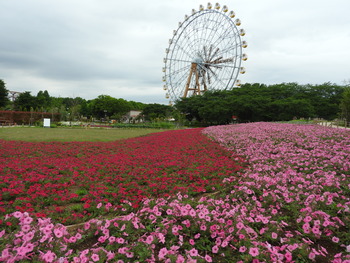 DSCN3024