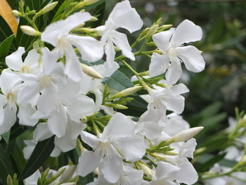 6月6日 673