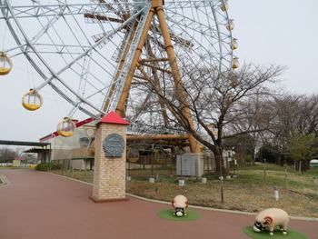 23サクラ(チーズ風車前)