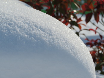 23雪