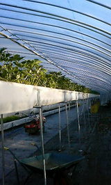 fec9ec62.jpg