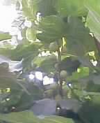 86b11bcb.jpg