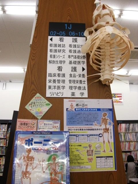 戸田書店 山梨中央店情報:紙で作る人体骨格模型が登場！！