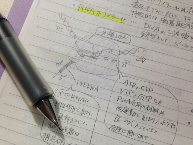 面白い授業 ナリアイマイカ 東大ガイダンスブログ