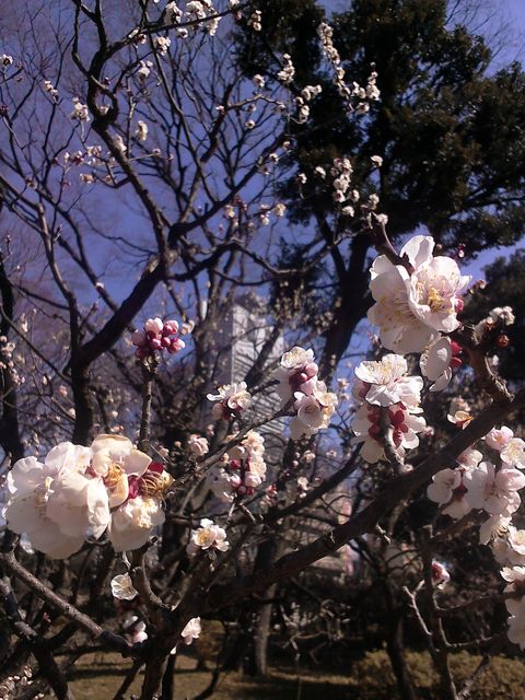 WIN_20160303_104252