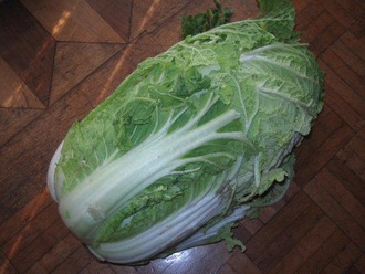 白菜