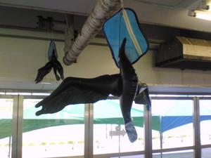 カラス退治