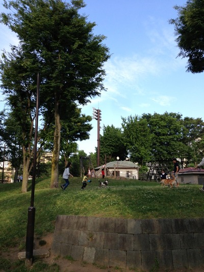 139c529b.jpg