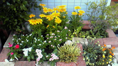 2a9723b3.jpg