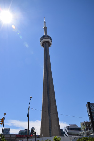 DSC_0232