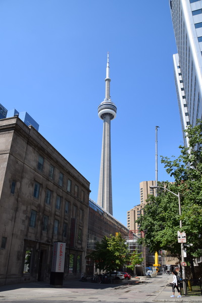 DSC_0338