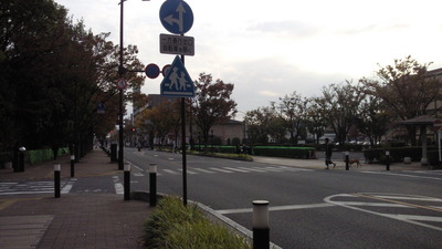 c794d1b0.jpg