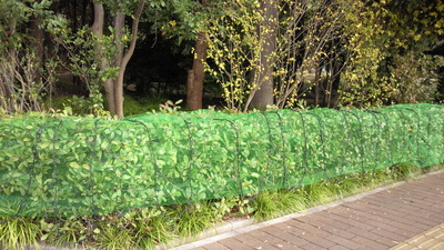 cd0a0500.jpg