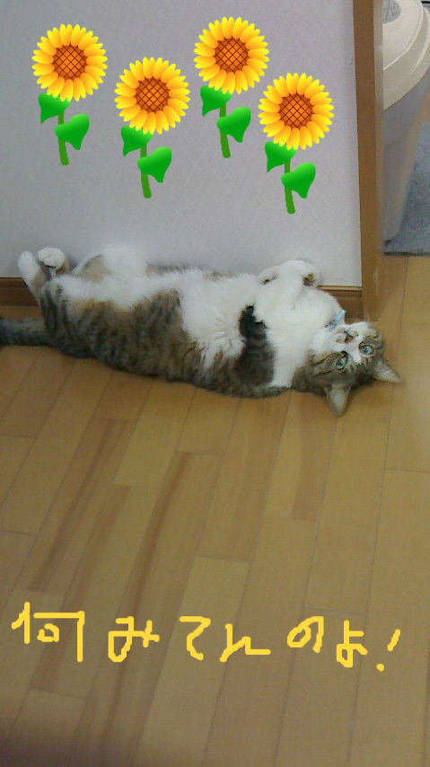 BlogPaint