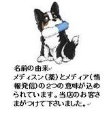 ��ǥ�����3