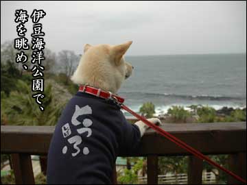 伊豆の思ひ出-5コマ