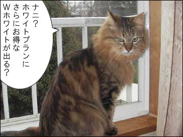 さらにおトクな-1コマ