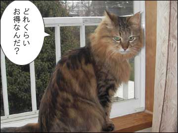 さらにおトクな-4コマ