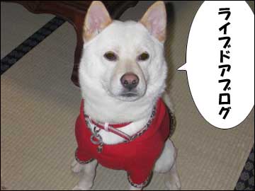 ありがとう、そして・・さよなら-6コマ