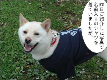 名前入りシャツ-1コマ