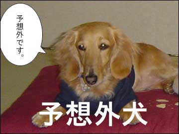 さらにおトクな-6コマ