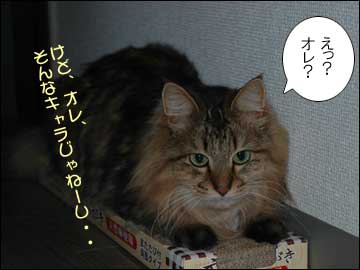 まいっちんぐ!-3コマ