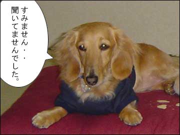 さらにおトクな-3コマ