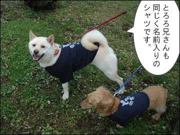 名前入りシャツ-3コマ