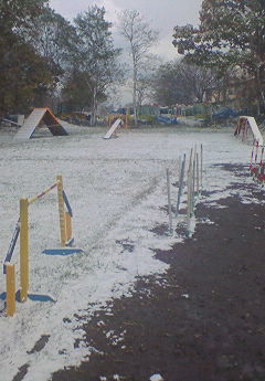 200911021258000