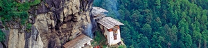 mura