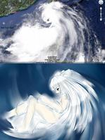 台風